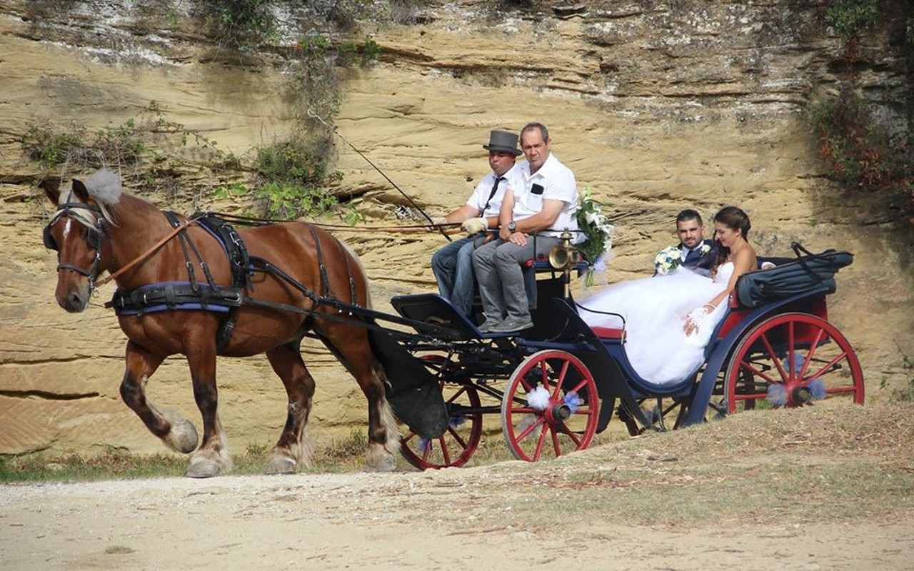 evenement de mariage à Arles